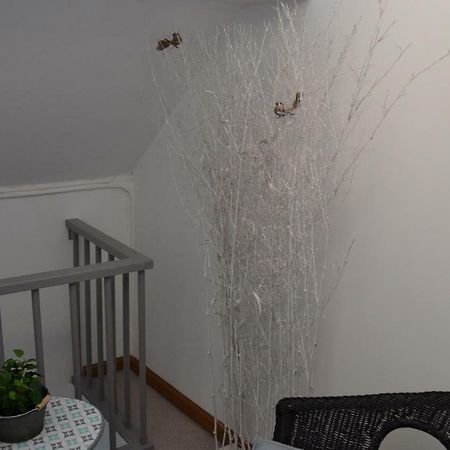Au Bobeli'Nid - Gite Citadin Au Coeur De Spa Exterior foto